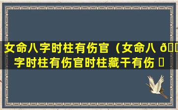 女命八字时柱有伤官（女命八 🐴 字时柱有伤官时柱藏干有伤 ☘ 官正财正官是什么意思）